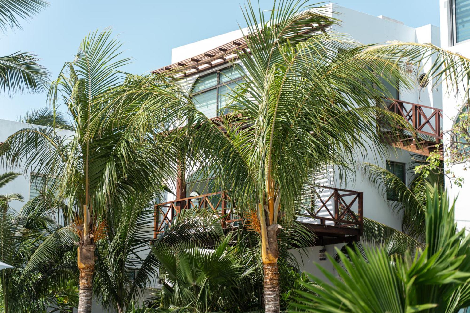 Villas Amanecer By Andiani Travel Isla Mujeres Exterior photo